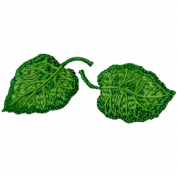 Leaves Embroidery Design 4